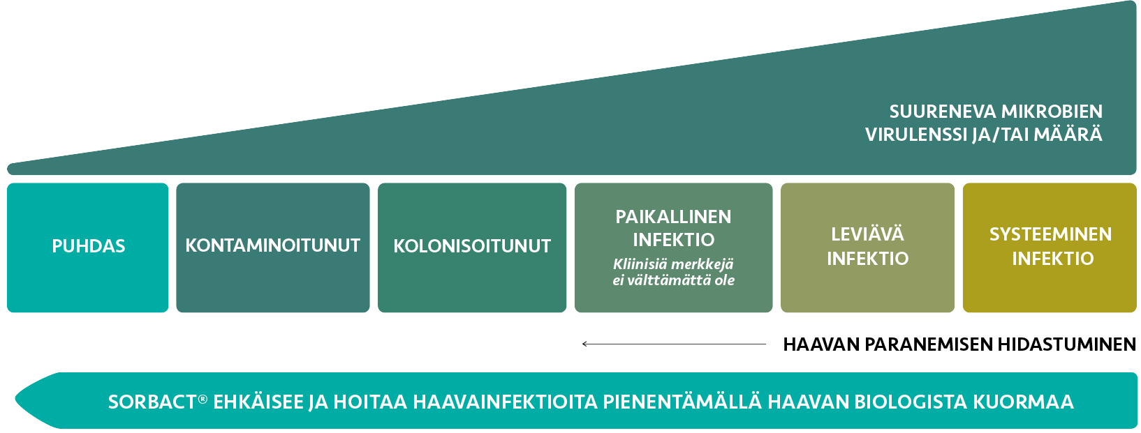 Kuvitus haavan etenemisen kuudesta eri vaiheesta: puhdas, kontaminoitunut, kolonisoitunut, paikallinen infektio, leviävä infektio ja systeeminen infektio. Mikrobien virulenssi ja/tai määrä lisääntyy, mikä voi hidastaa haavan paranemista. Kuvassa todetaan, että Sorbact ehkäisee ja hoitaa haavainfektioita pienentämällä haavan biologista kuormaa.